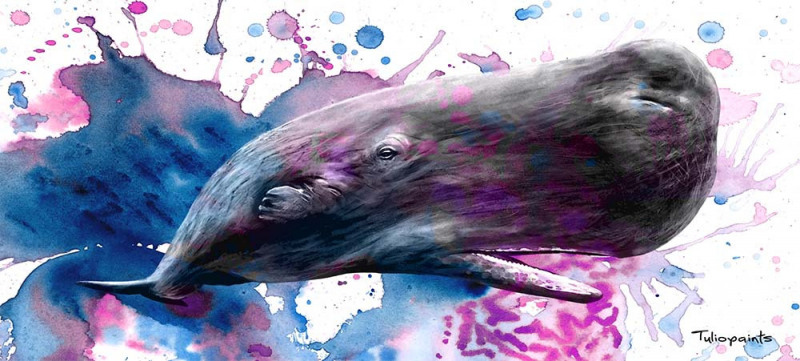 Sperm Whale