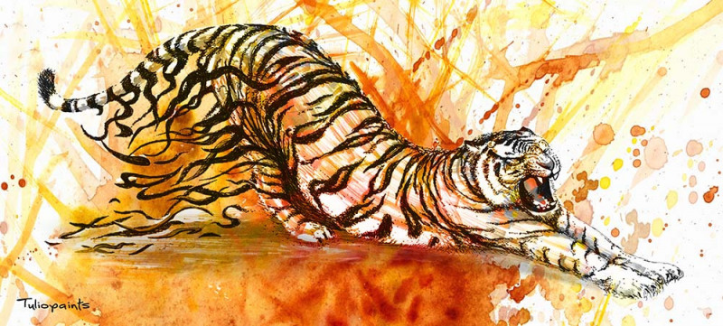 TIGER