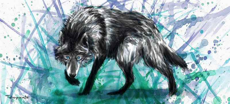 WOLF