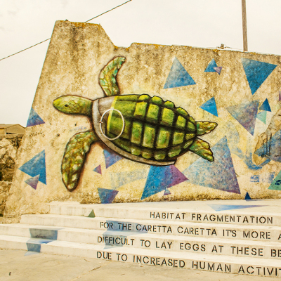Loggerhead-turtle-general-light-1-1