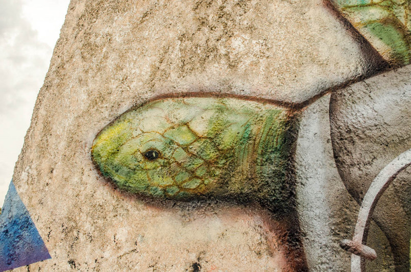 Details of the head