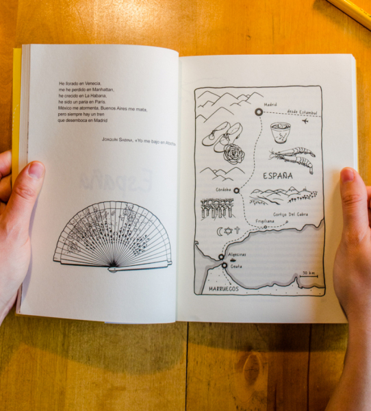 Looking inside the book