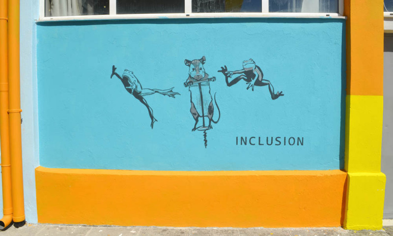 inclusion