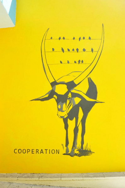 cooperation